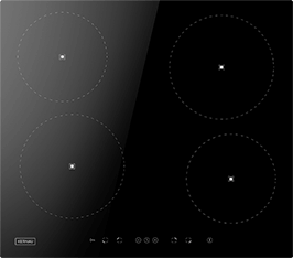 Induktionsfeld Reparatur Gera